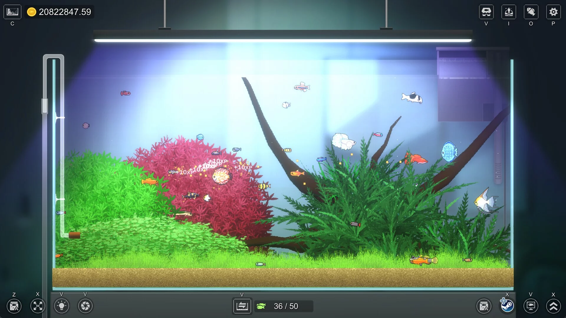 Изображение игры: Joyquarium