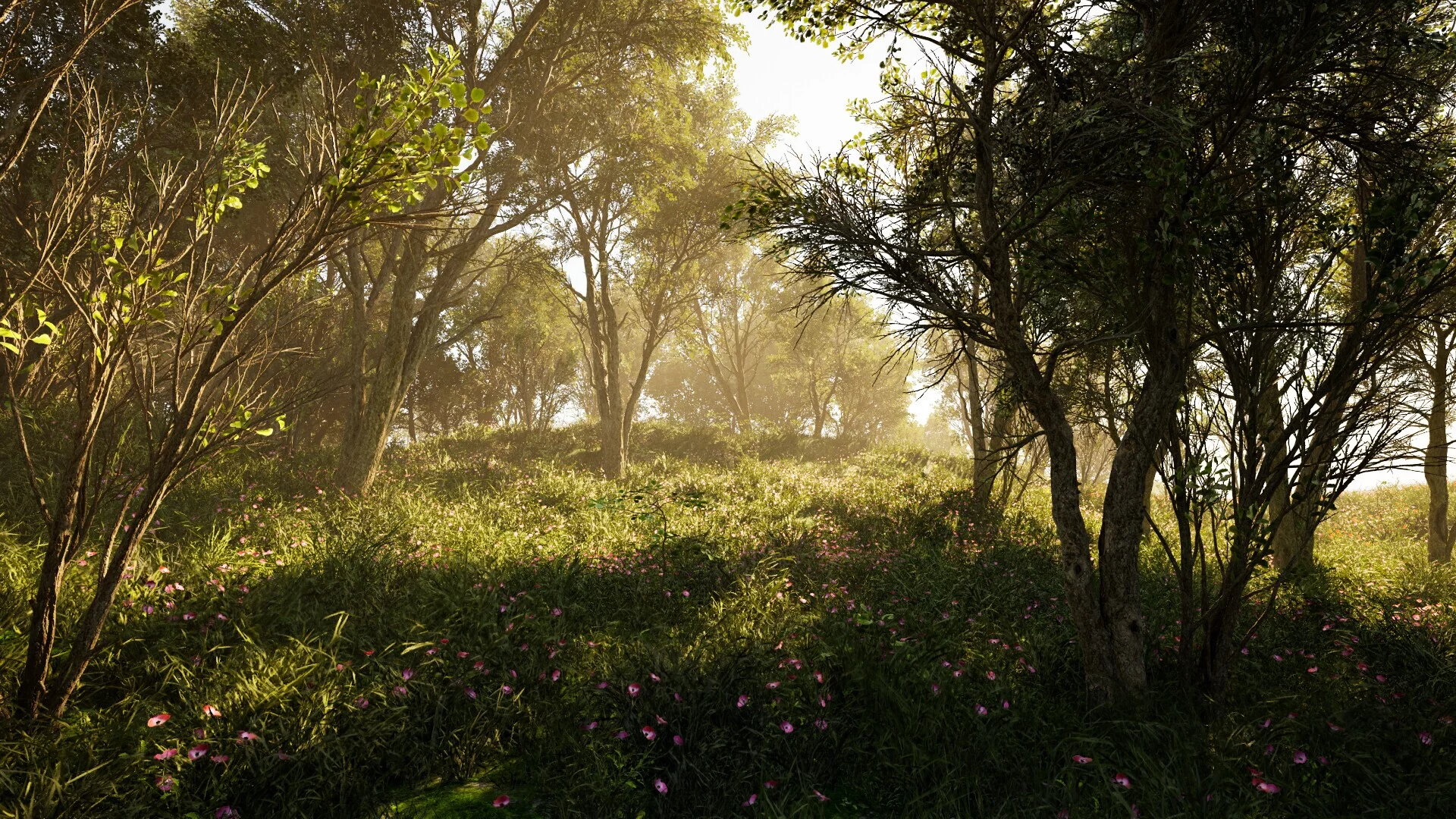 Изображение игры: Calming Forest