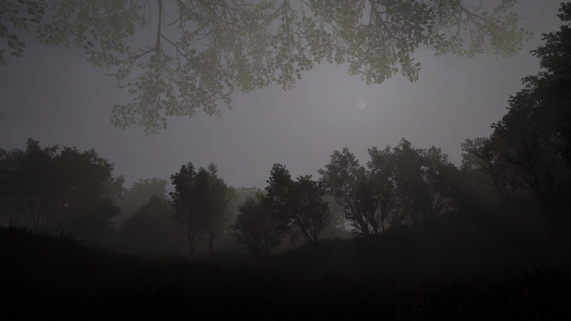 Изображение игры: Calming Forest