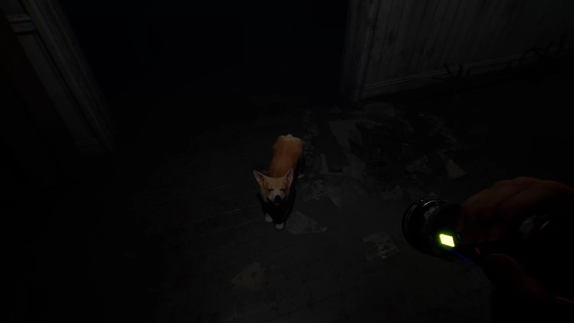 Изображение игры: Project Unknown