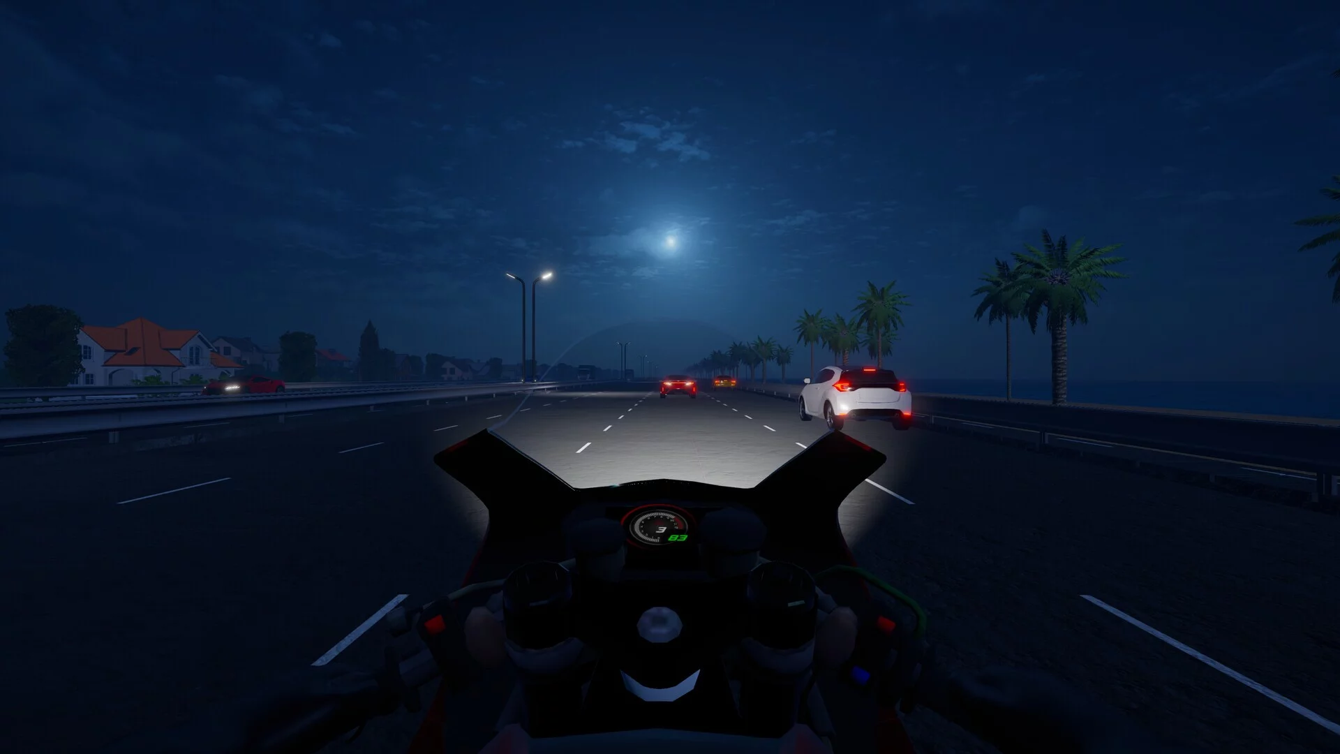 Изображение игры: Motorcycle Night Ride