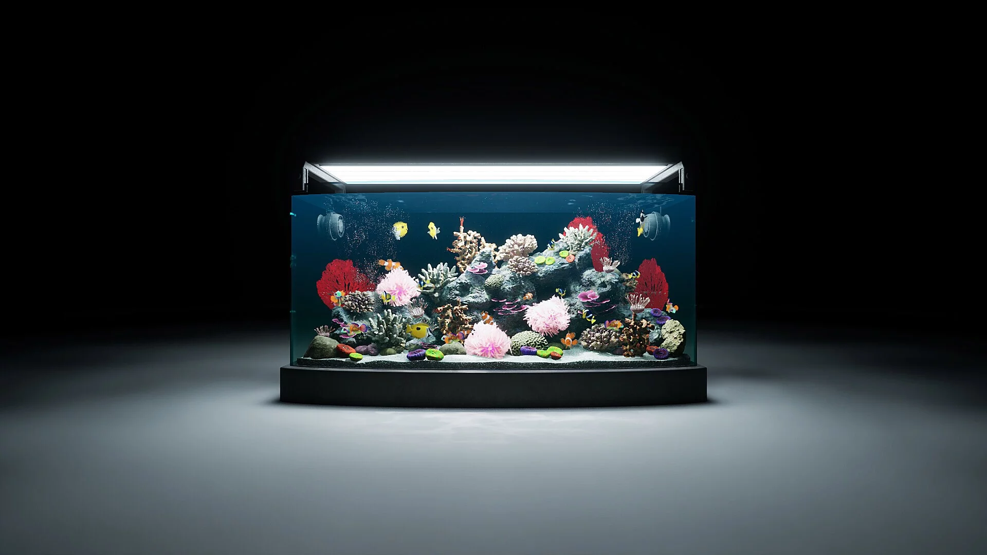 Изображение игры: Sea Aquarium Screensaver