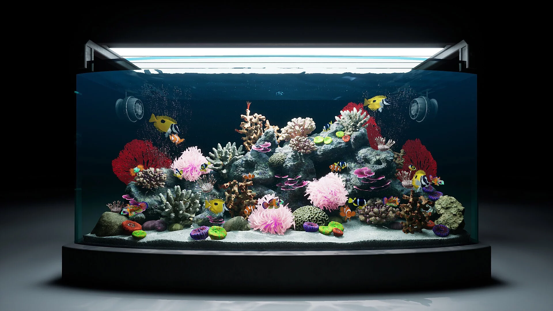 Изображение игры: Sea Aquarium Screensaver