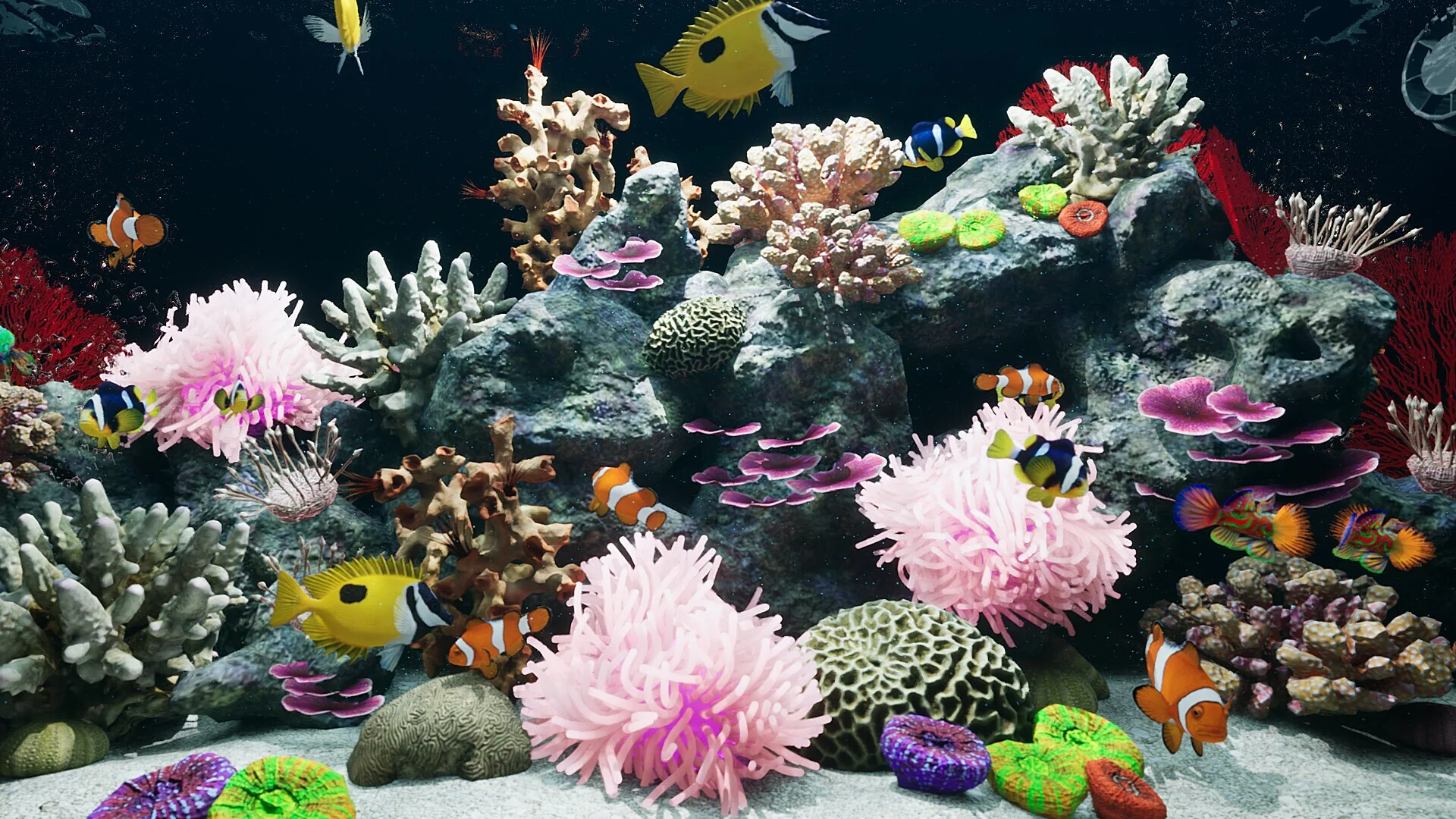 Изображение игры: Sea Aquarium Screensaver