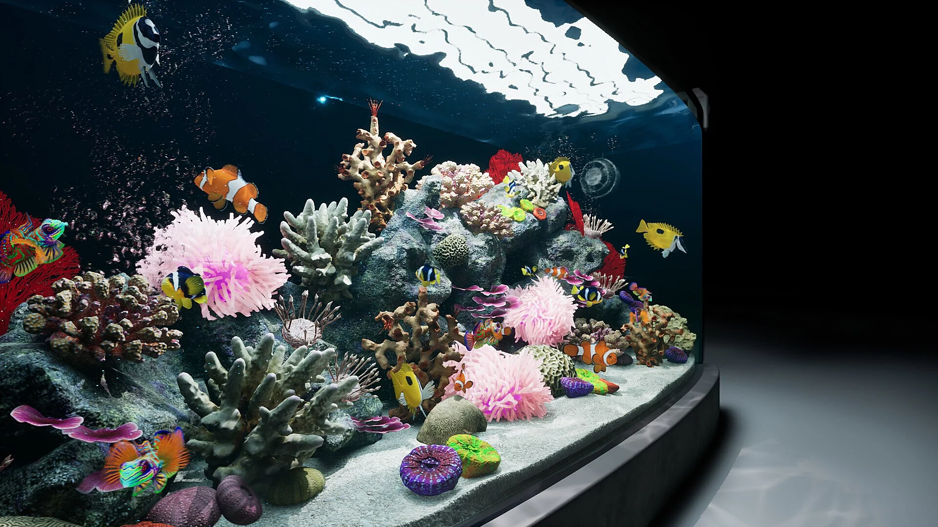 Изображение игры: Sea Aquarium Screensaver