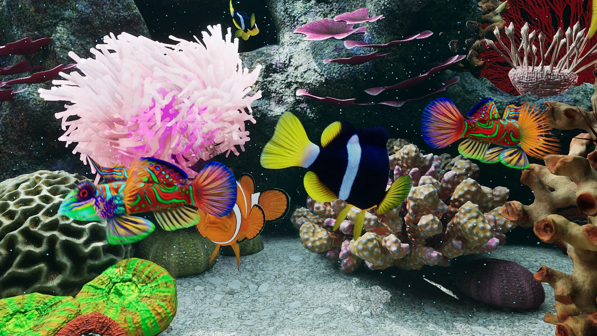 Изображение игры: Sea Aquarium Screensaver