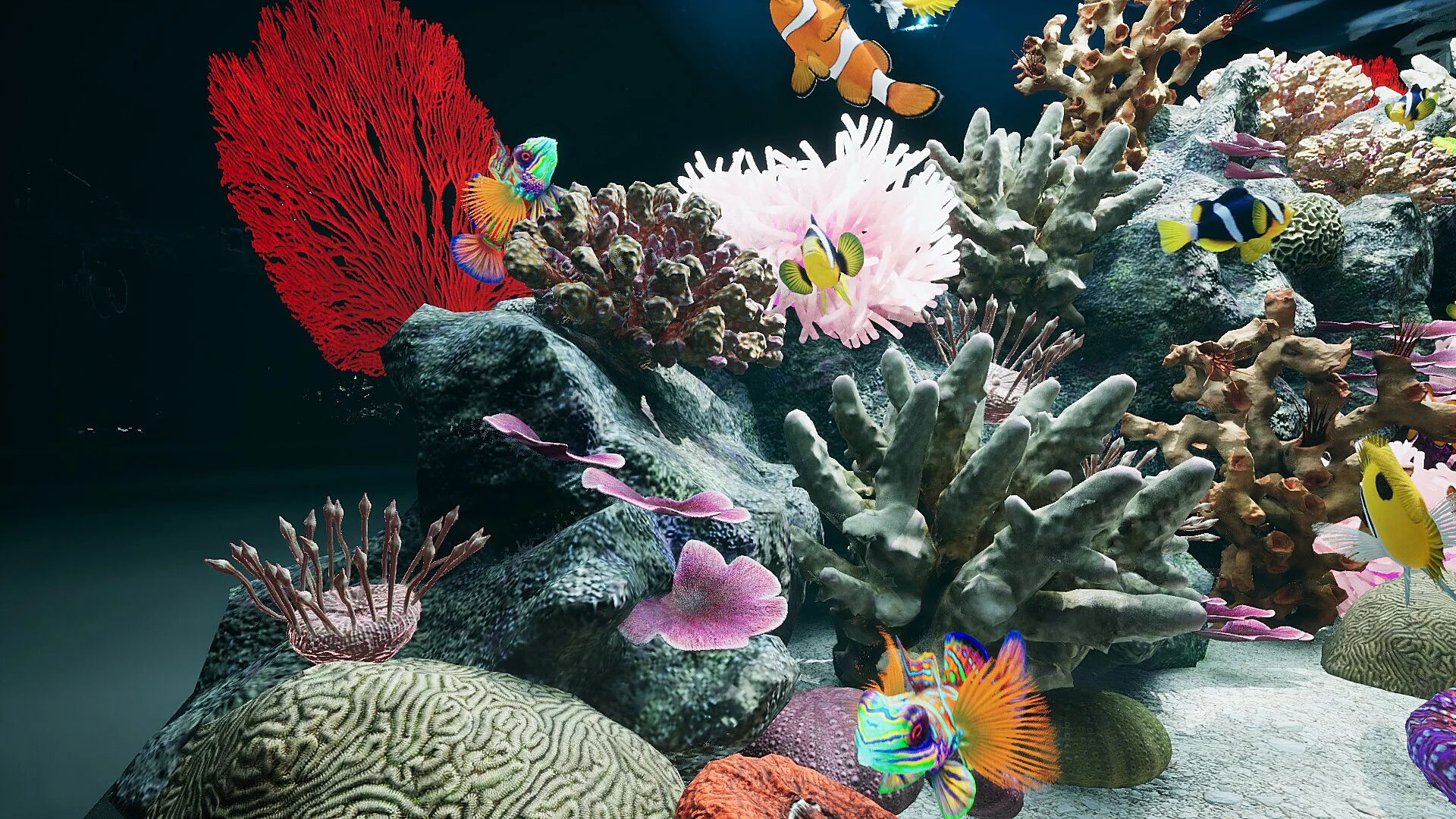 Изображение игры: Sea Aquarium Screensaver