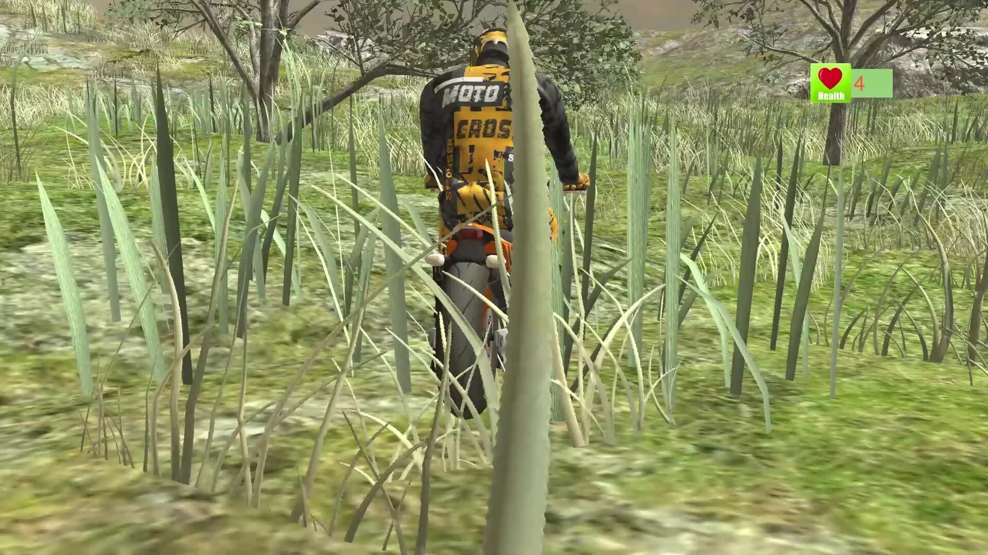 Изображение игры: Motorcross Simulator