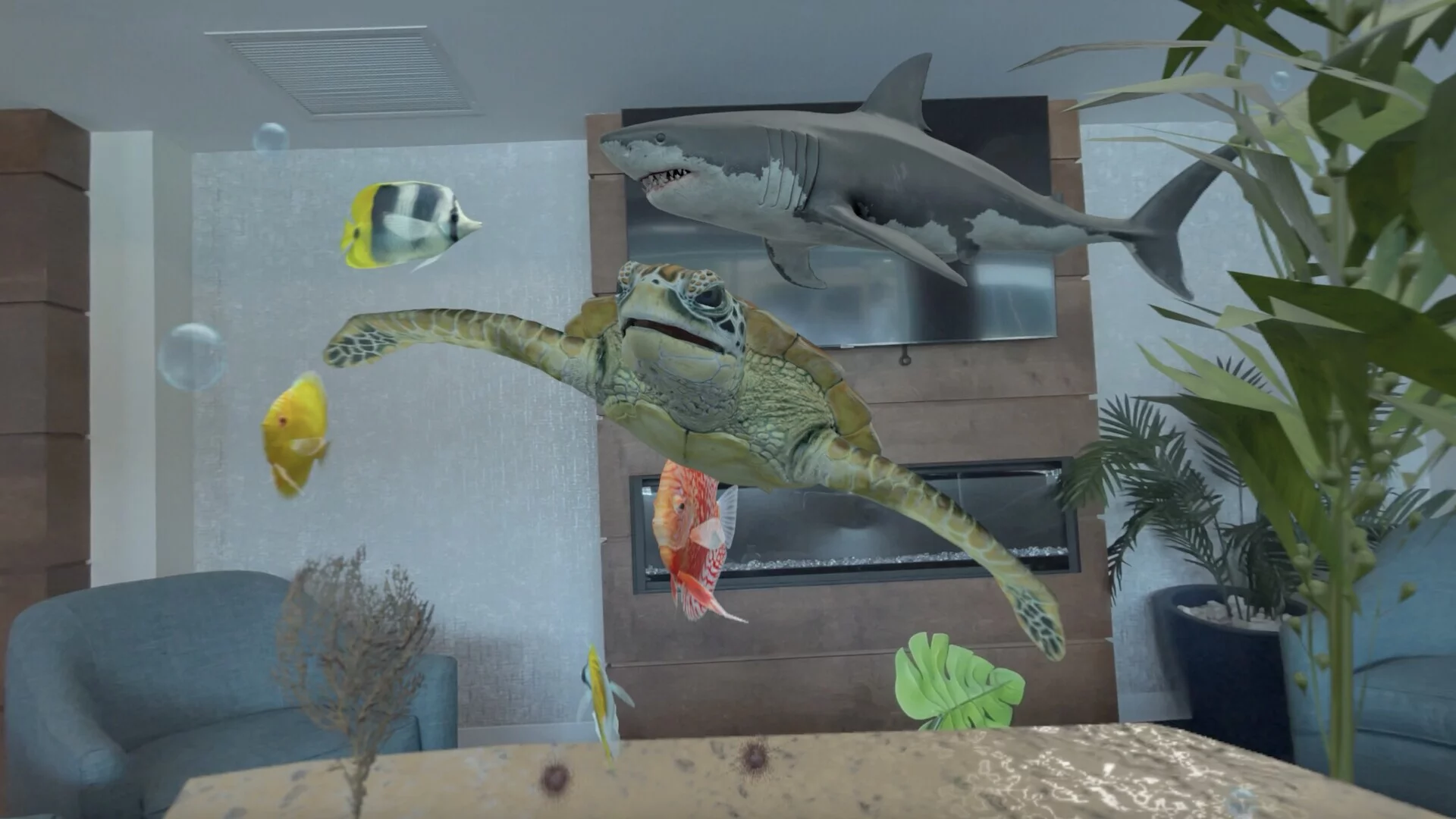Изображение игры: Aquarium Adventures