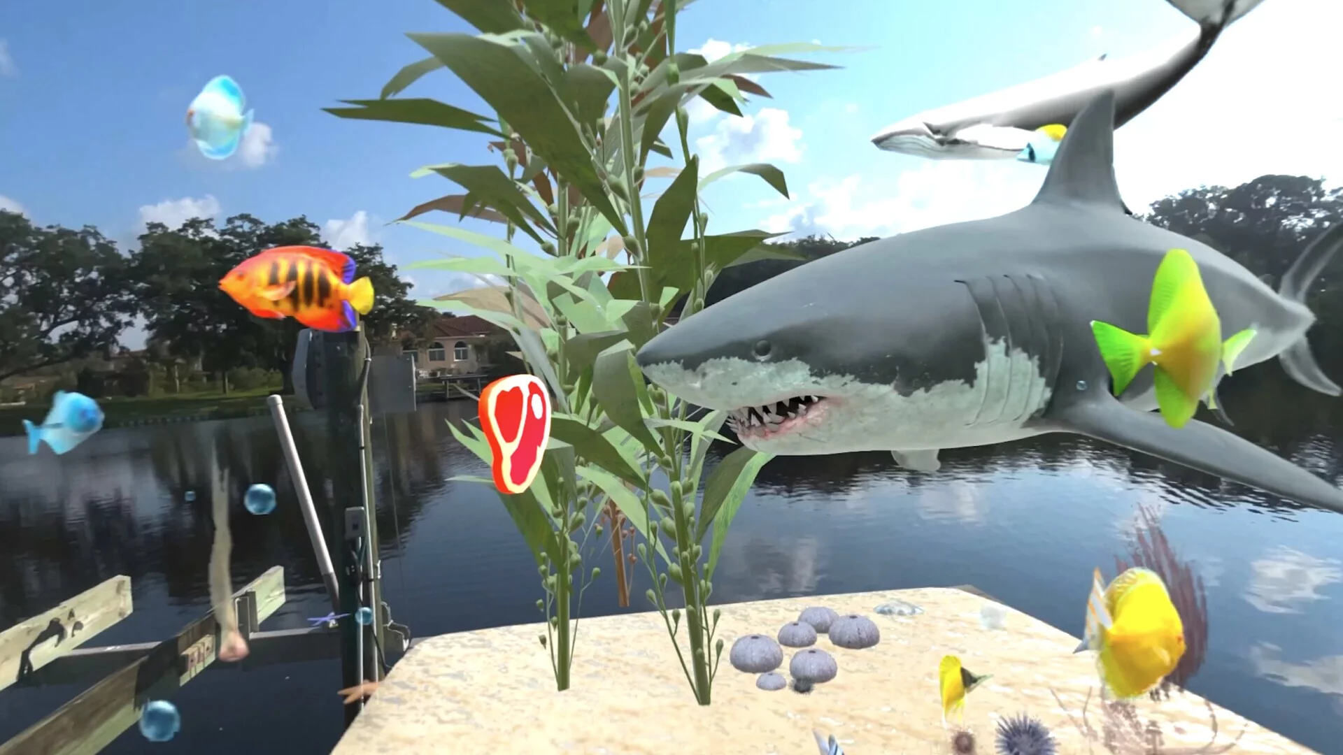 Изображение игры: Aquarium Adventures