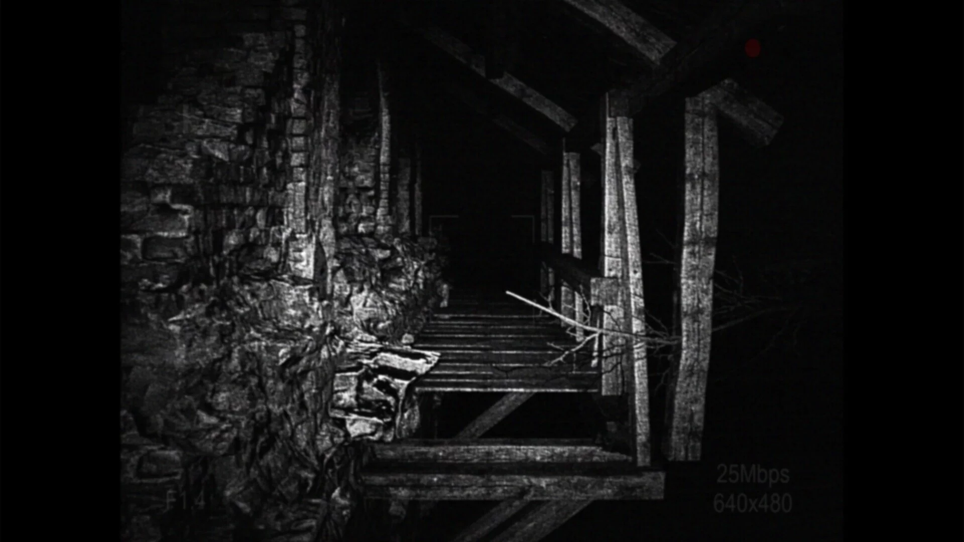 Изображение игры: [REC] Desolation
