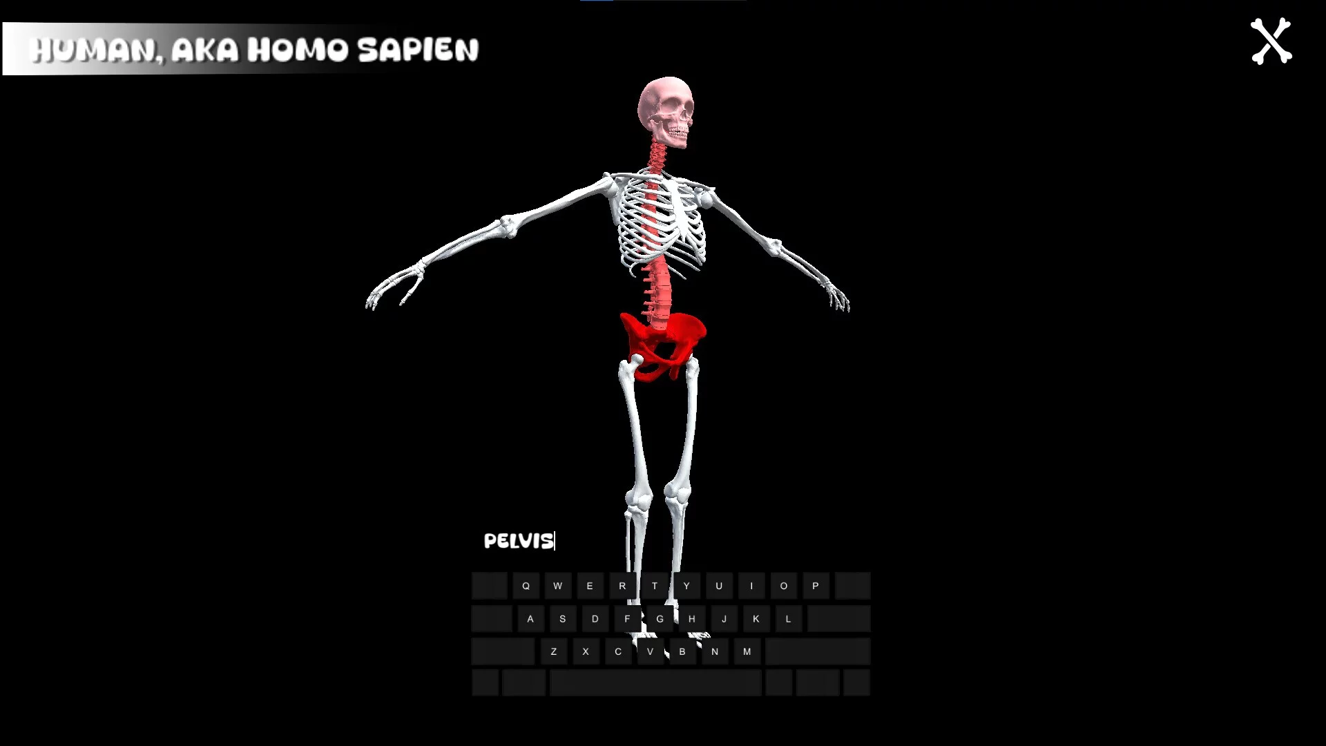 Изображение игры: BONLE