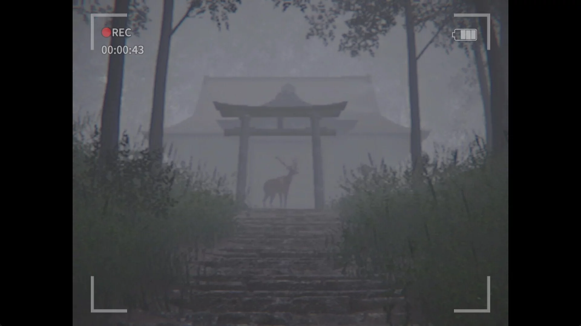 Изображение игры: 7 Days Shrine