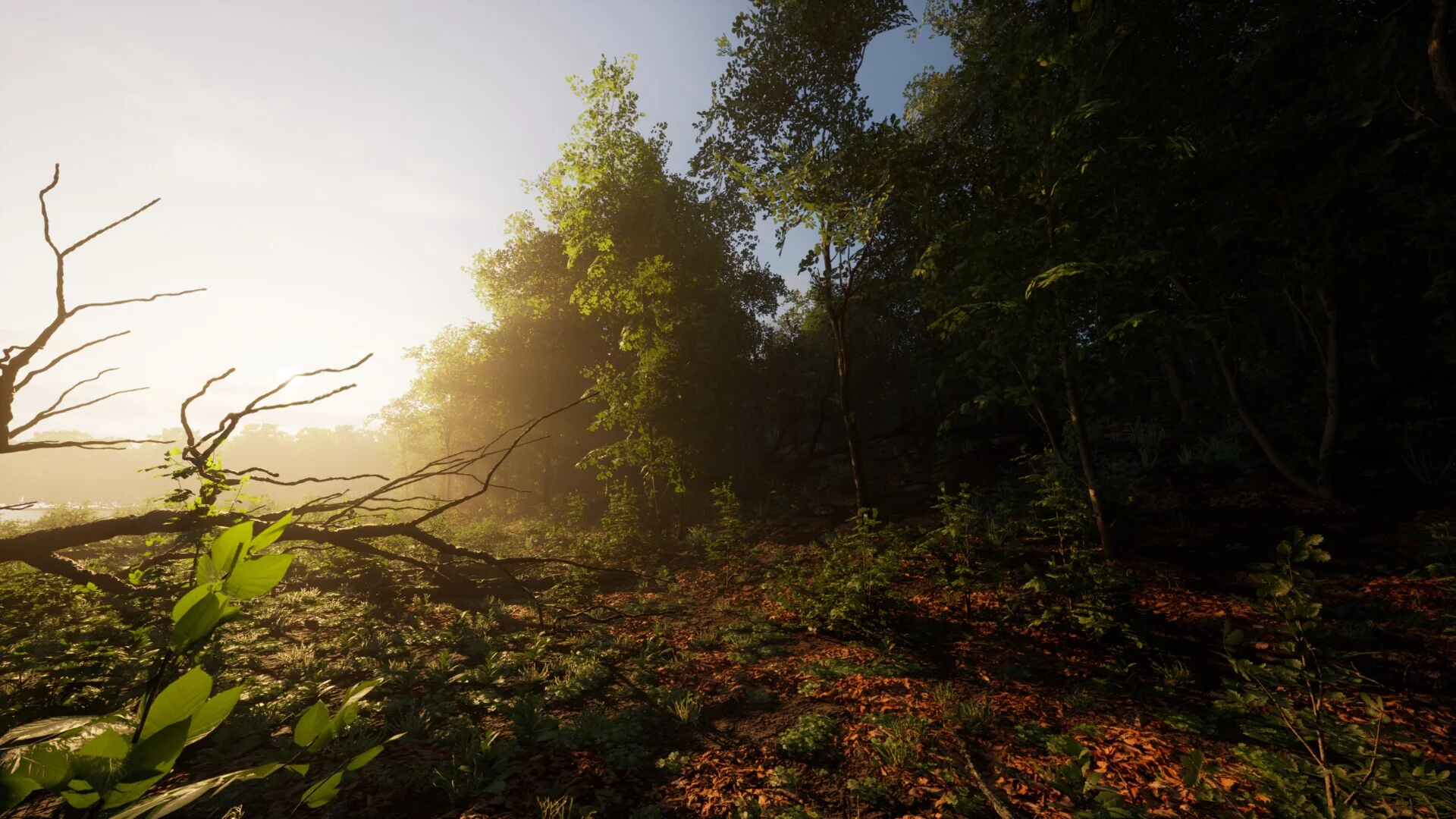 Изображение игры: Carpathian Survival
