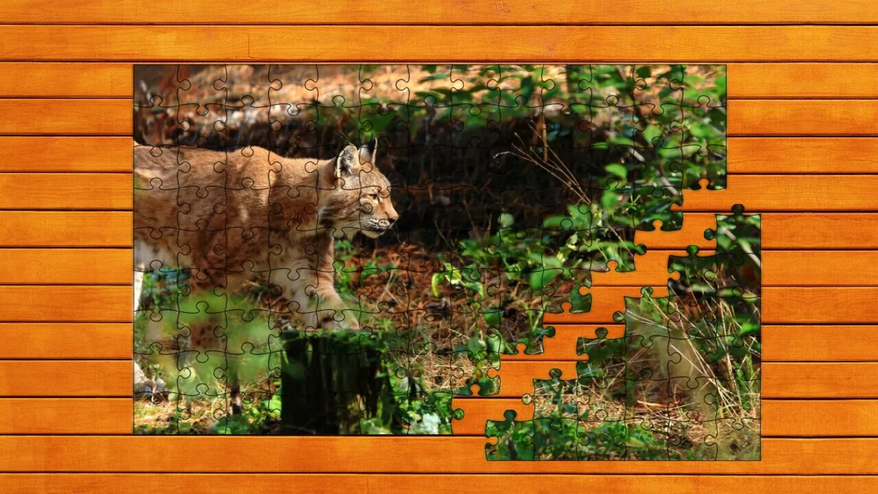 Изображение игры: Wild Lynx Jigsaw