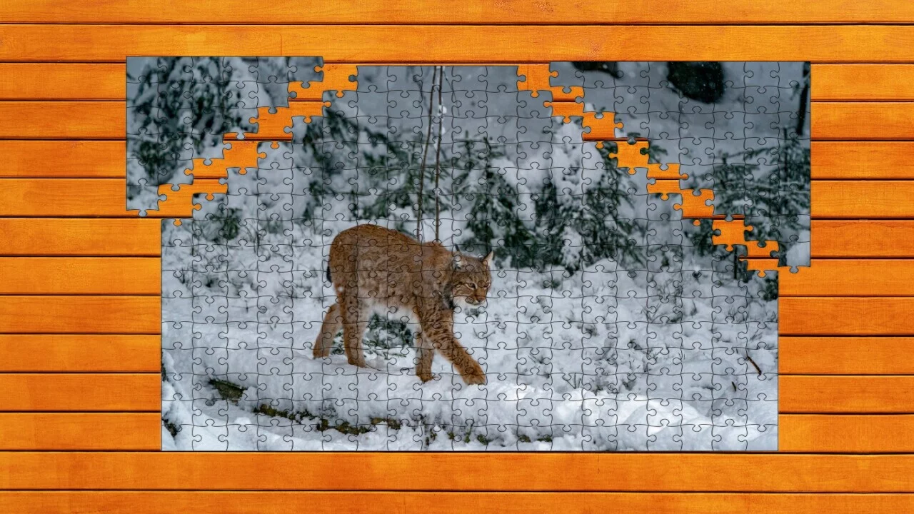 Изображение игры: Wild Lynx Jigsaw
