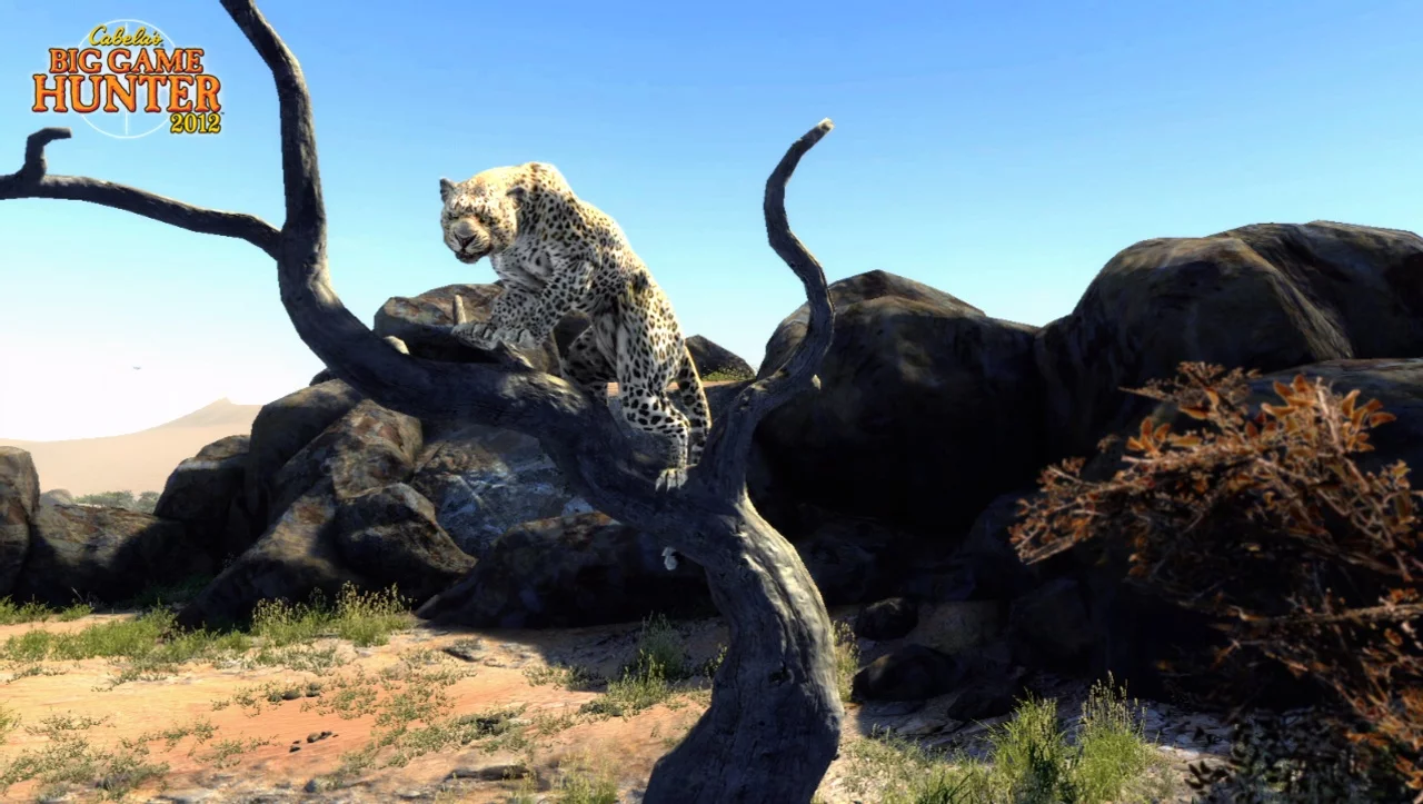 Изображение игры: Cabela's Big Game Hunter 2012