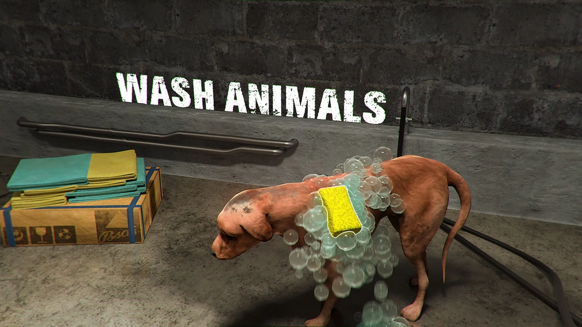 Изображение игры: Animal Shelter