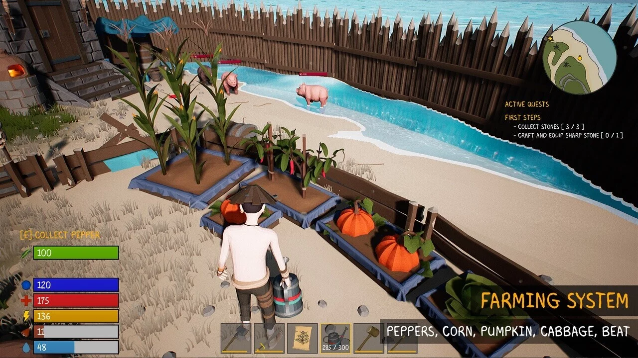 Изображение игры: PirateFi
