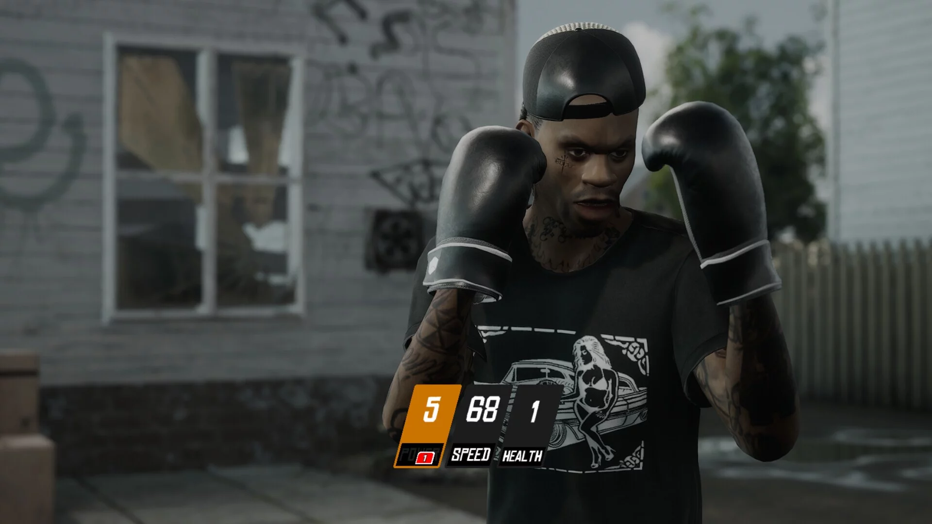Изображение игры: Backyard Boxing