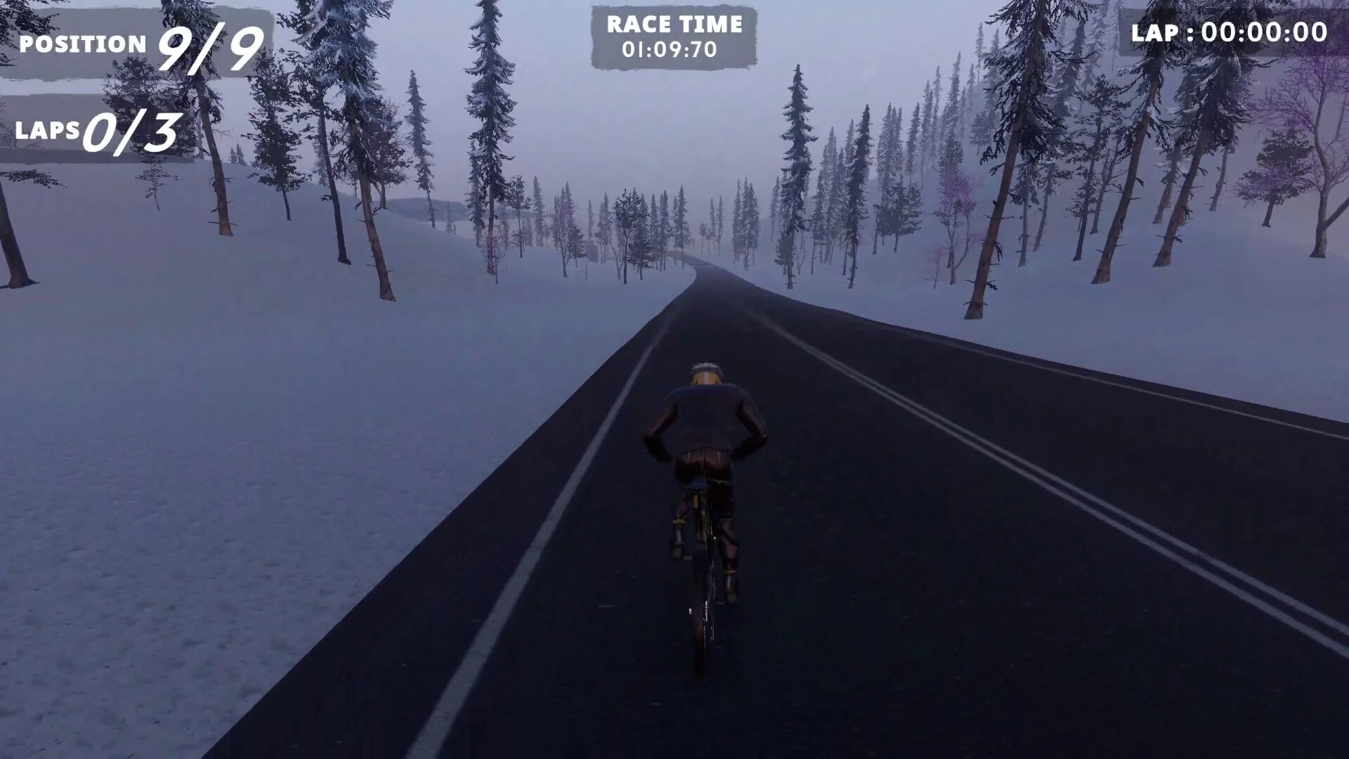 Изображение игры: Extreme Cycling
