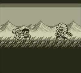 Изображение игры: Mega Man V