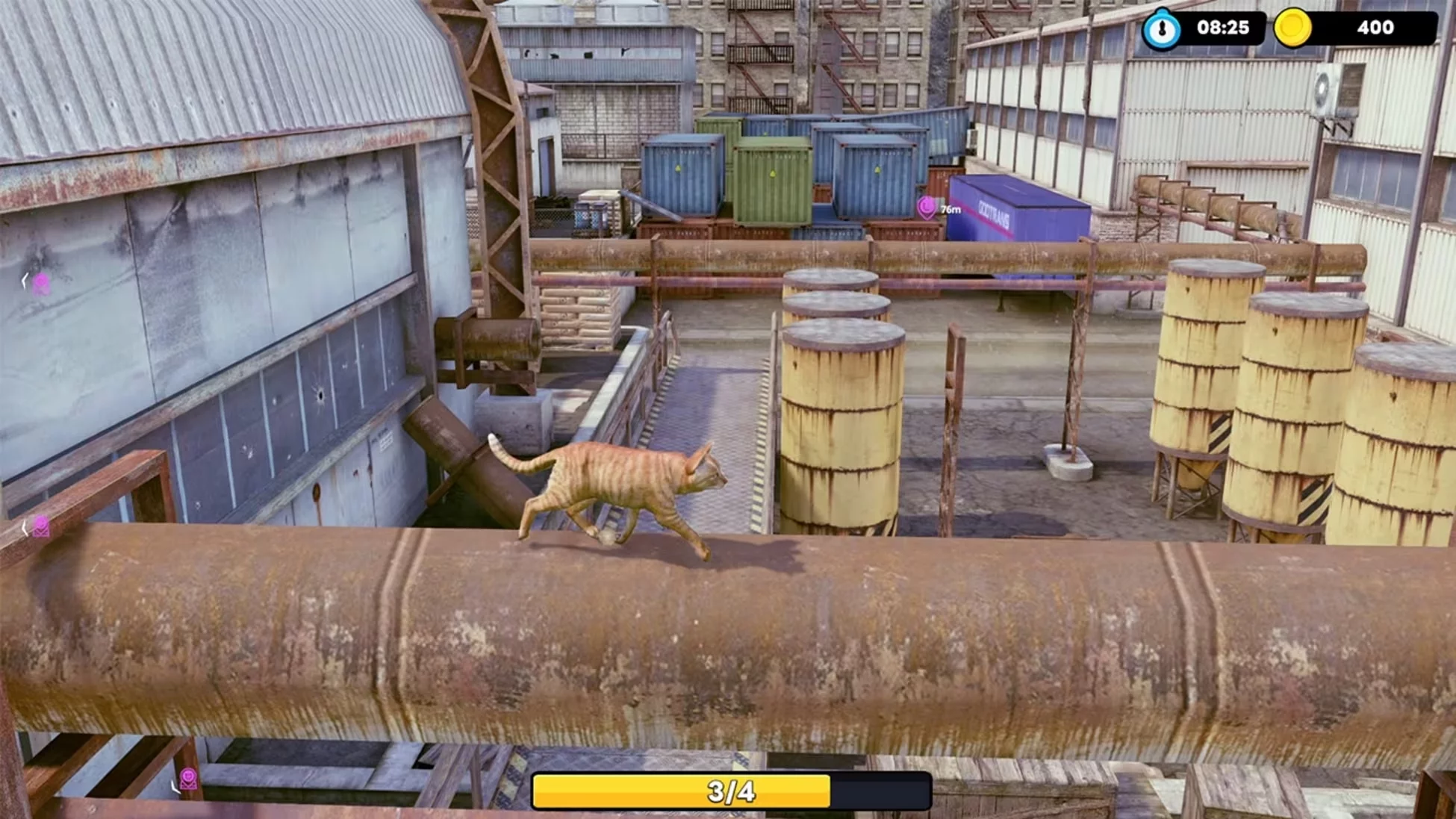 Изображение игры: Little Strays