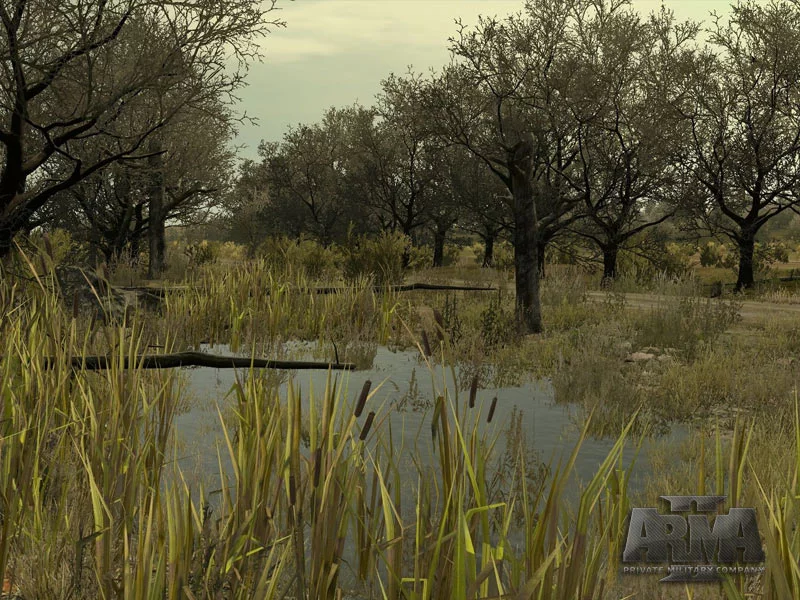 Изображение игры: ArmA II: Private Military Company
