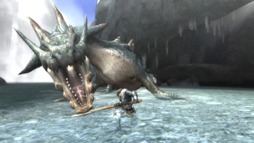 Изображение игры: Monster Hunter Tri