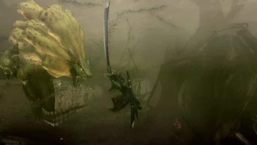 Изображение игры: Monster Hunter Tri