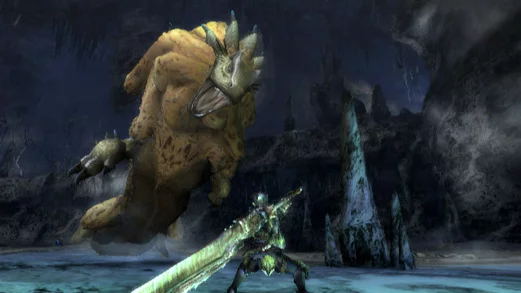 Изображение игры: Monster Hunter Tri