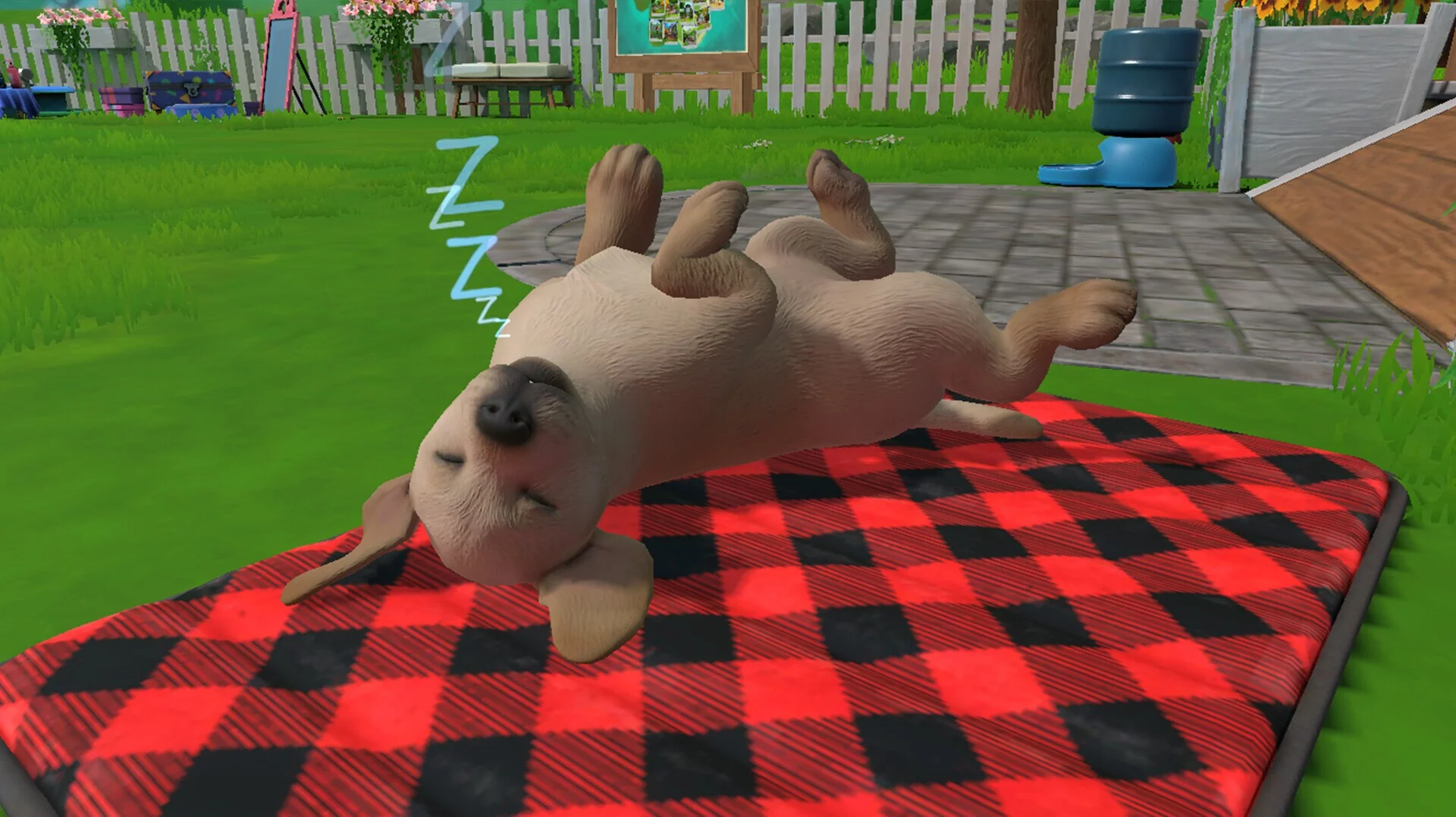 Изображение игры: Little Friends: Puppy Island