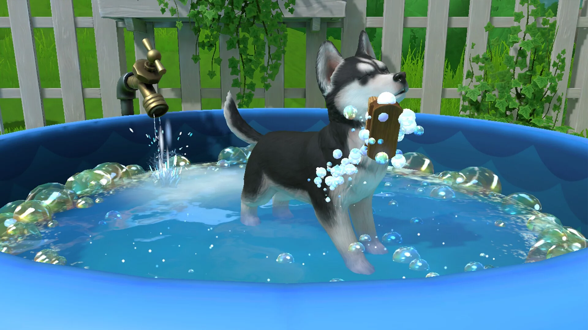 Изображение игры: Little Friends: Puppy Island