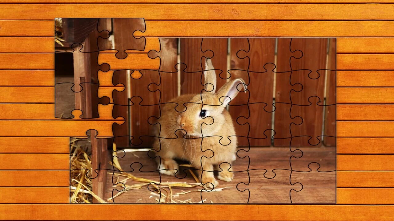 Изображение игры: Paw & Hop Jigsaw Quest