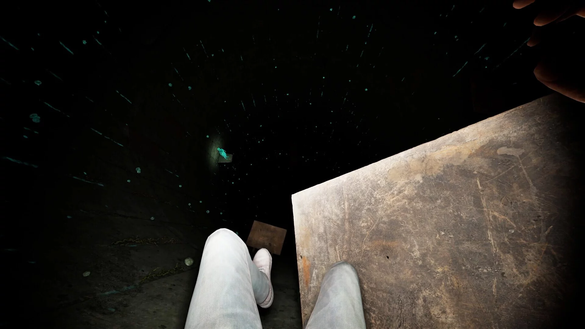 Изображение игры: Fallen: Into the Darkness