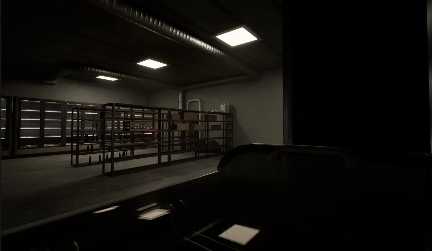 Изображение игры: Storage Anomaly