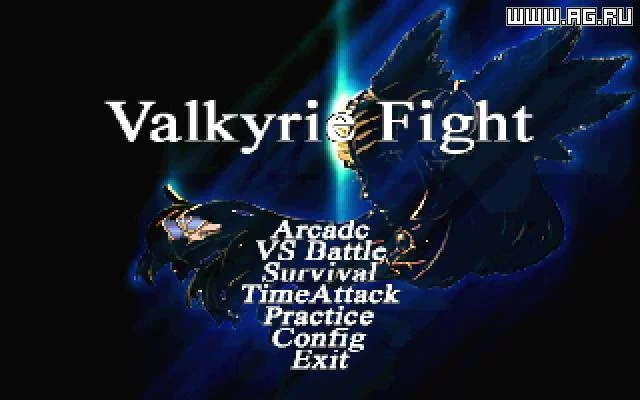 Изображение игры: Valkyrie Fight