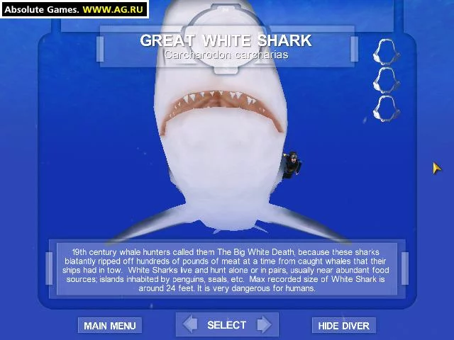 Изображение игры: Shark! Hunting the Great White