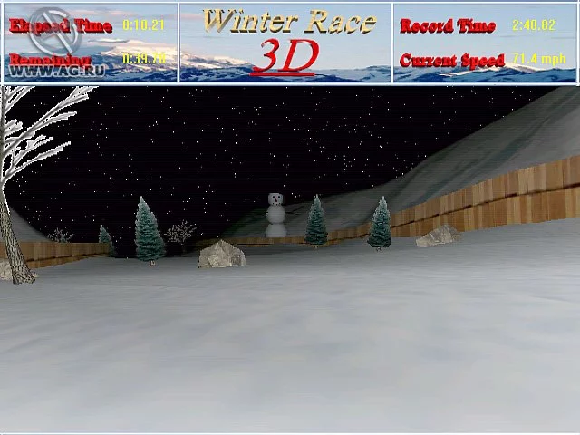 Изображение игры: Winter Race 3D