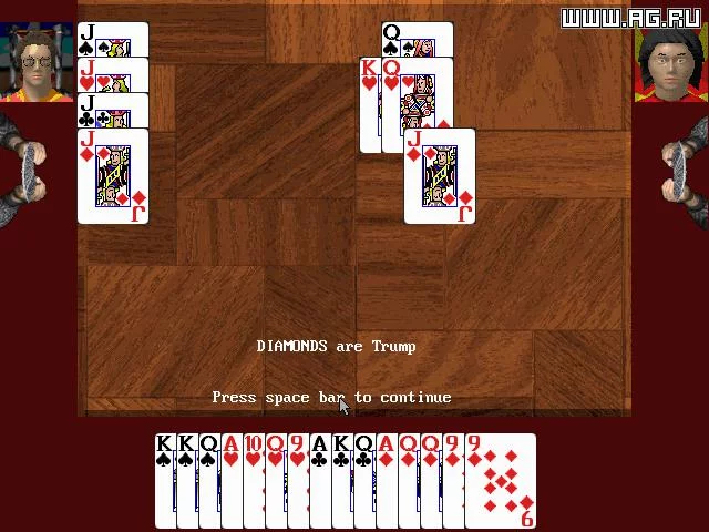 Изображение игры: Card Player's Paradise