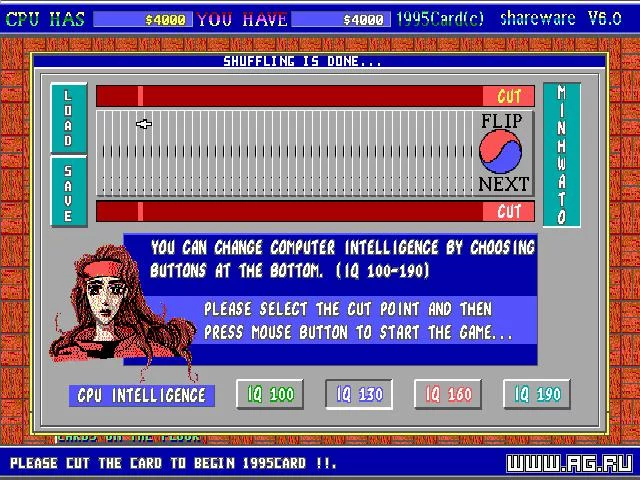Изображение игры: 1995card Games