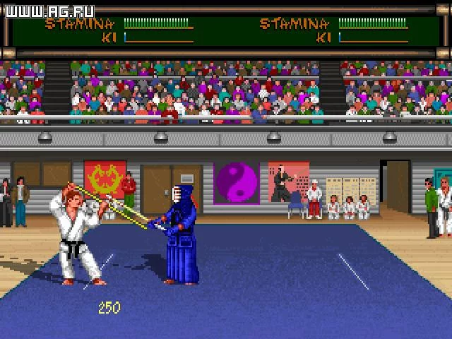 Изображение игры: Budokan: The Martial Spirit