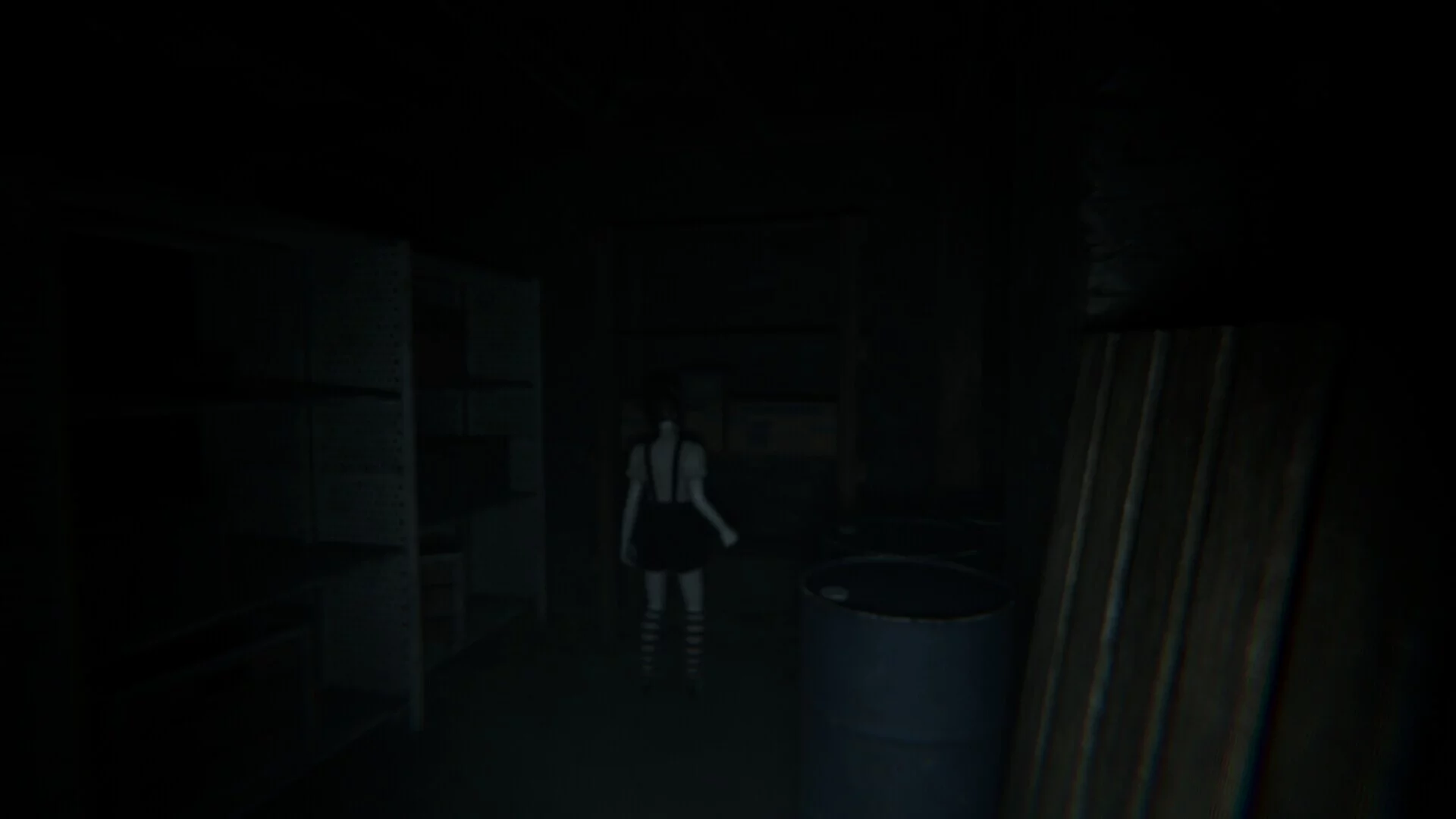 Изображение игры: Nightfall House