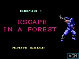 Изображение игры: Ninja Gaiden (SEGA)