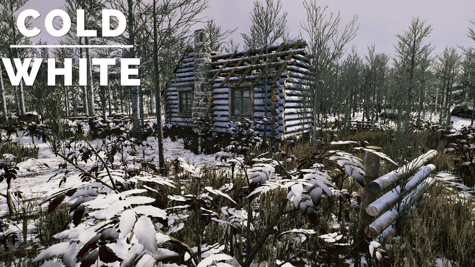 Изображение игры: The Cold White