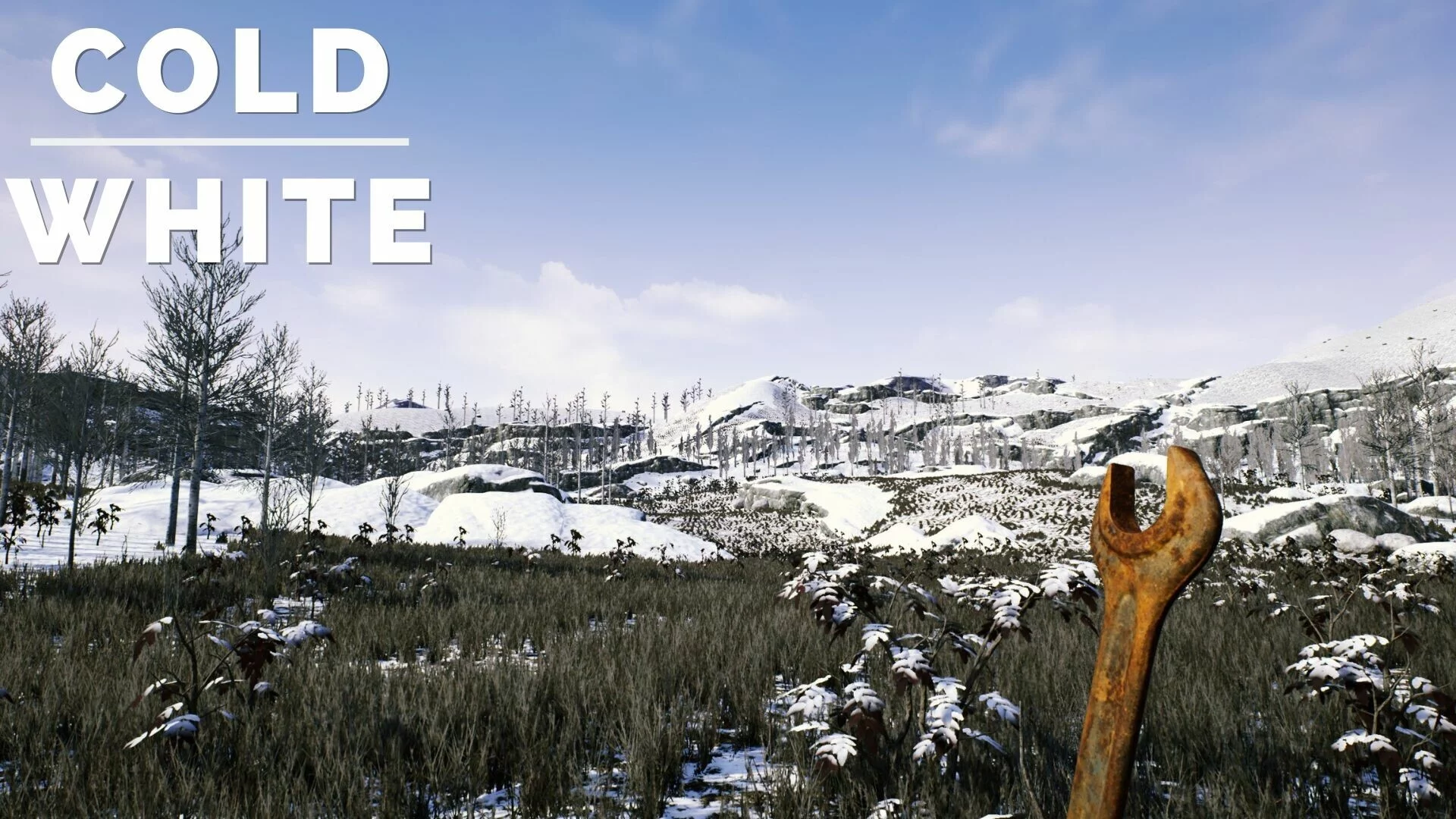 Изображение игры: The Cold White