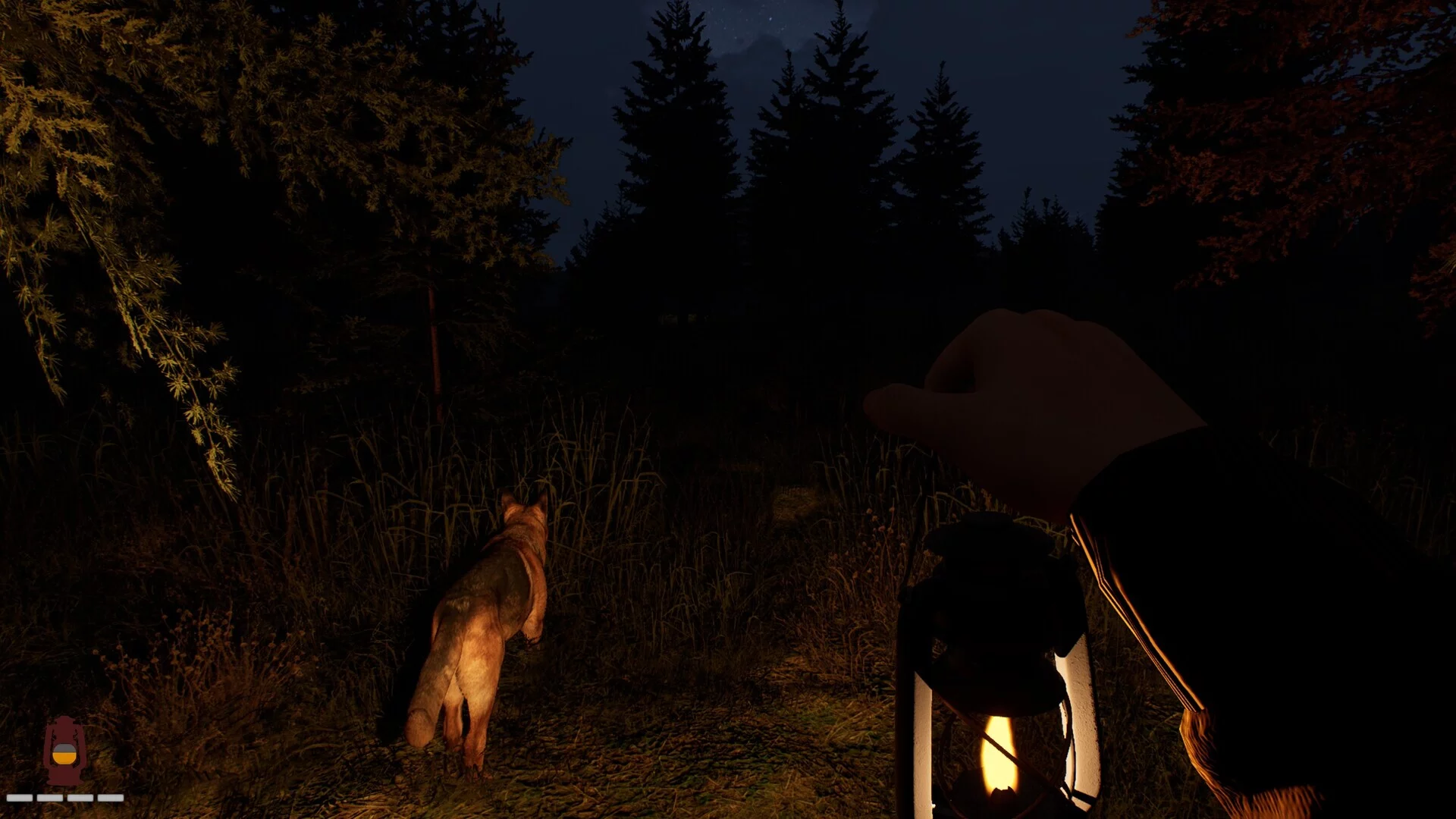 Изображение игры: Last Sighting