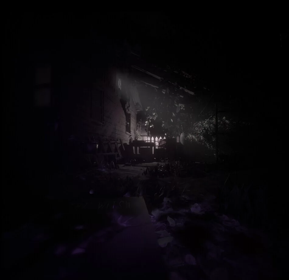 Изображение игры: The Witch