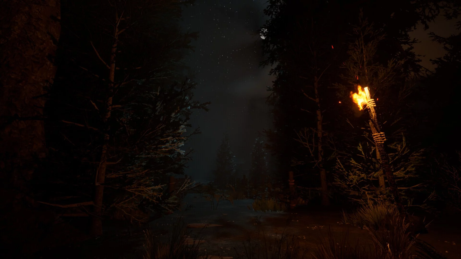 Изображение игры: The veil of the forgotten