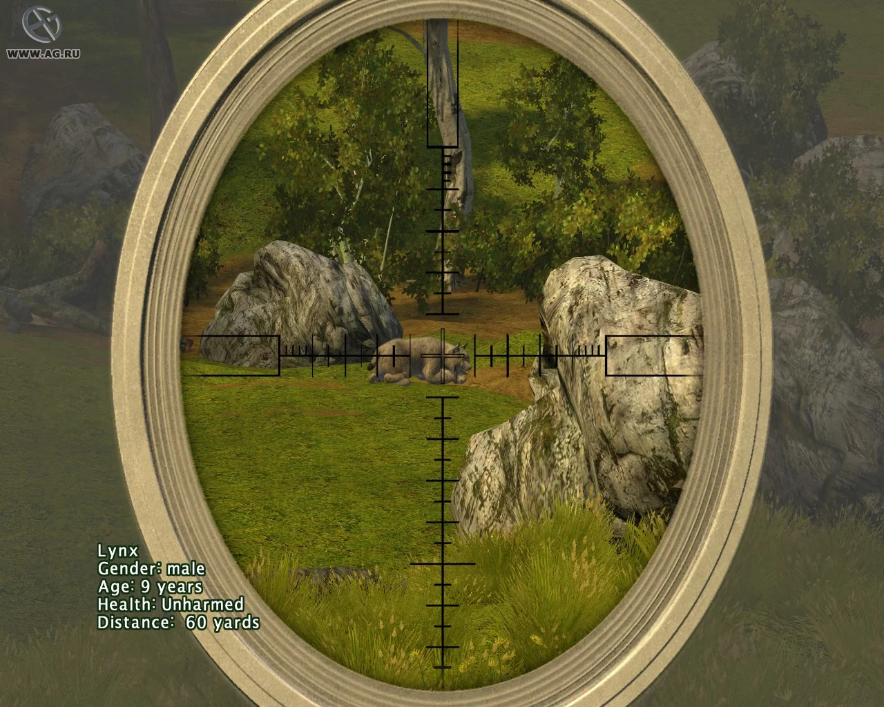 Изображение игры: Cabela's Big Game Hunter 2009